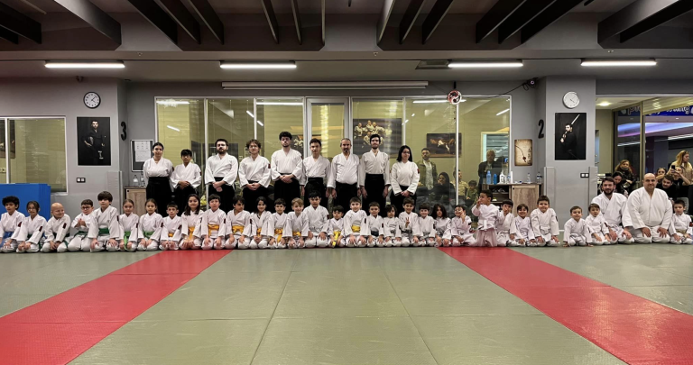 Çocuklar için Aikido Programları (10-12)