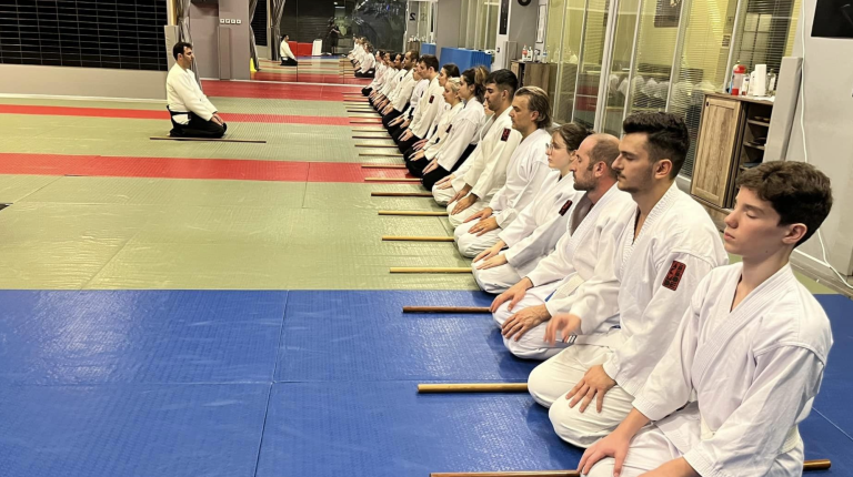 Gençler için Aikido Programları (13-18)