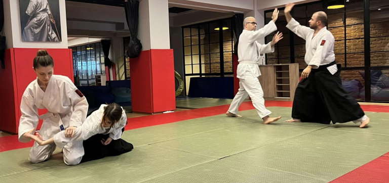 Yetişkinler için Aikido (19-45)